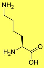 lysine